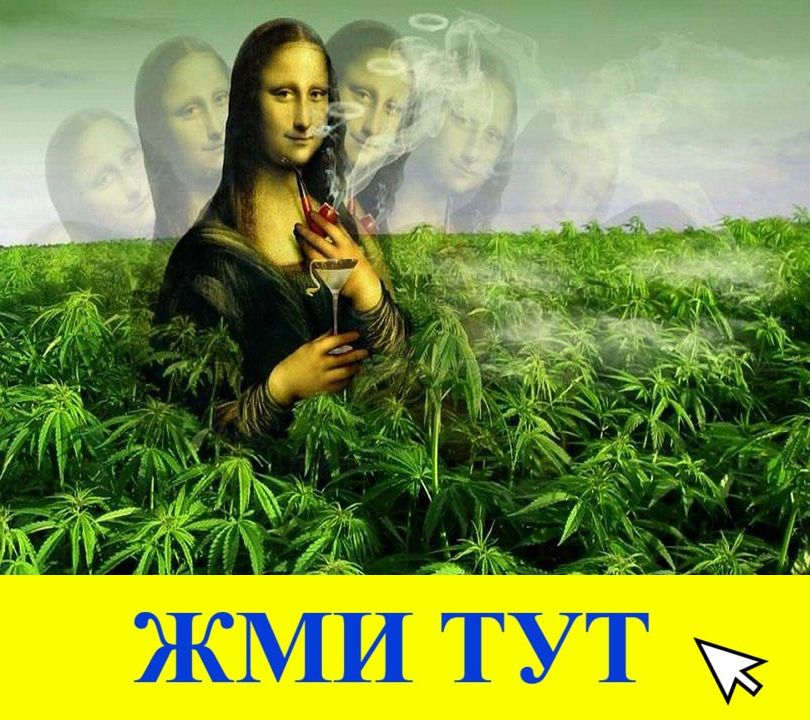 Купить наркотики в Почепе